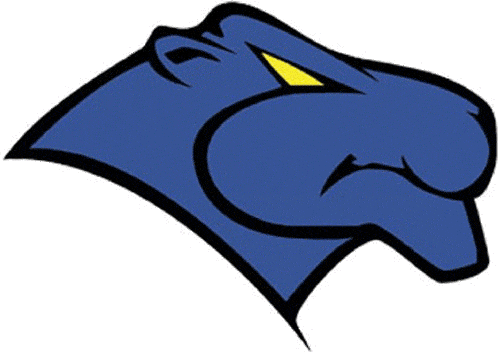 Georgia State Panthers 1997-2001 Primary Logo iron on transfers for fabric